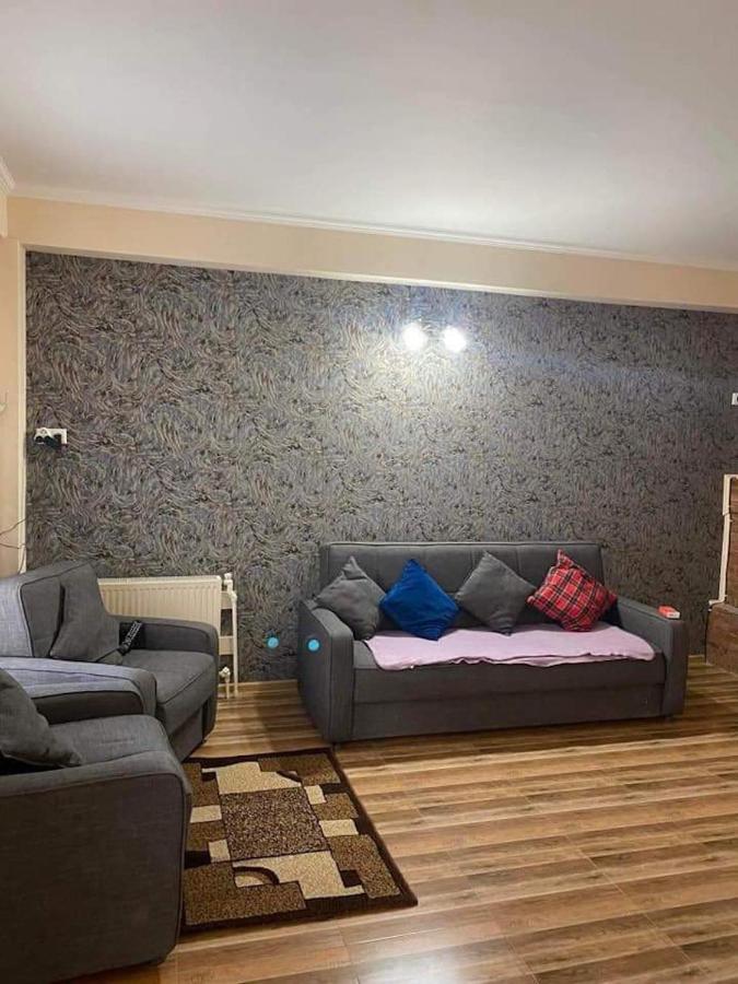 Bakuriani Resort Cottage 1 Storey 外观 照片